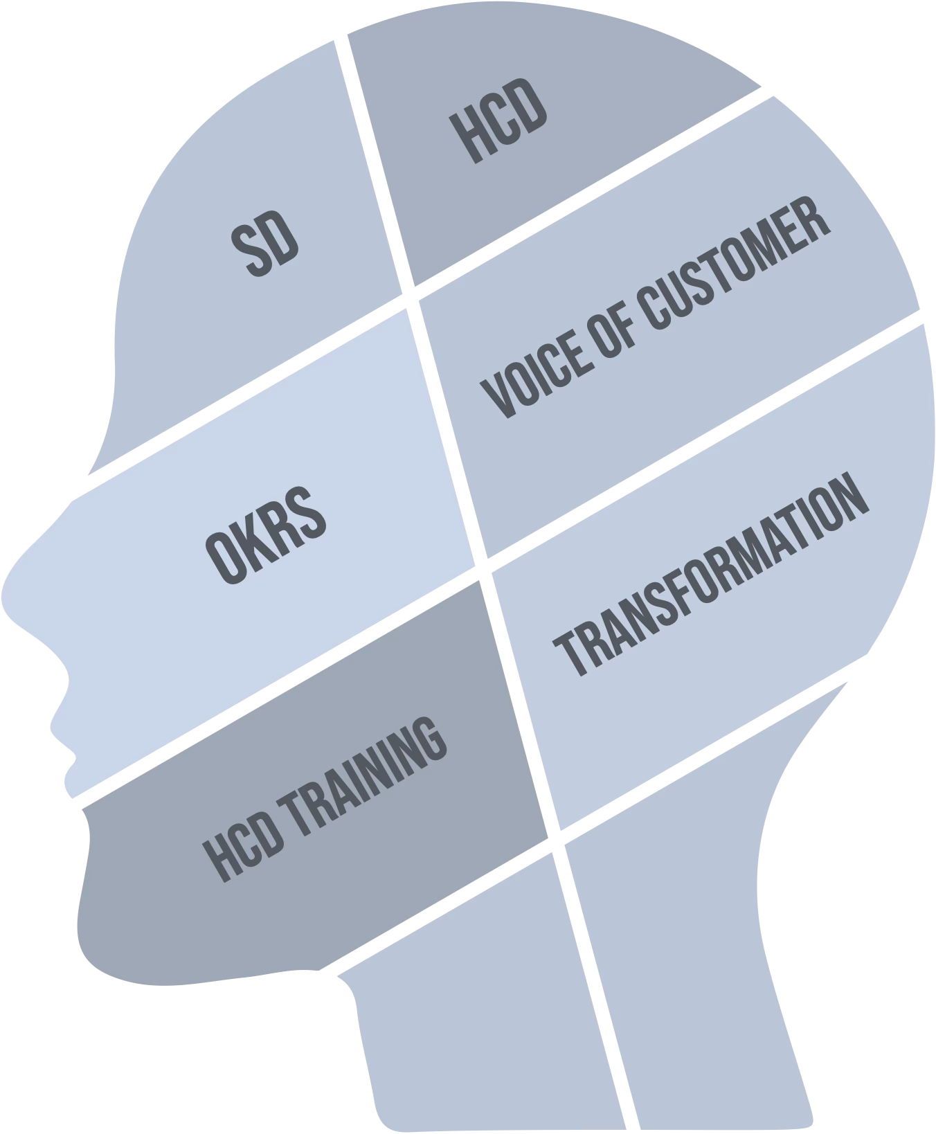 Human profile divided into service design, human-centred design, voice of customer, OKRs, transformation and HCD training